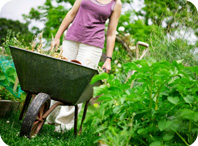 conseils_pratiques prêter/partager son jardin